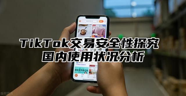 TikTok交易安全性探究 国内使用状况分析