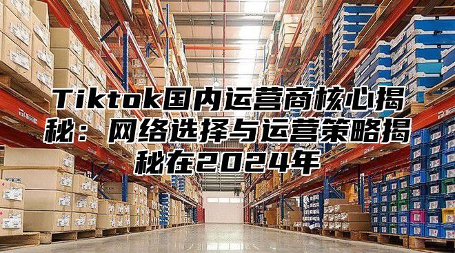 Tiktok国内运营商核心揭秘：网络选择与运营策略揭秘在2024年