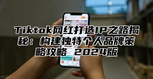 Tiktok网红打造IP之路揭秘：构建独特个人品牌策略攻略 2024版