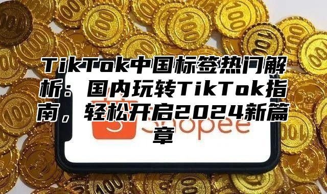 TikTok中国标签热门解析：国内玩转TikTok指南，轻松开启2024新篇章