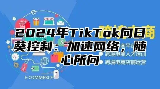 2024年TikTok向日葵控制：加速网络，随心所向