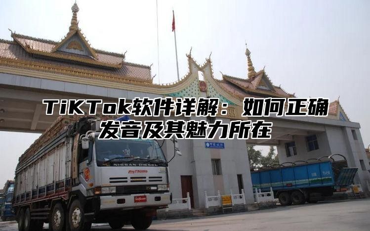 TiKTok软件详解：如何正确发音及其魅力所在