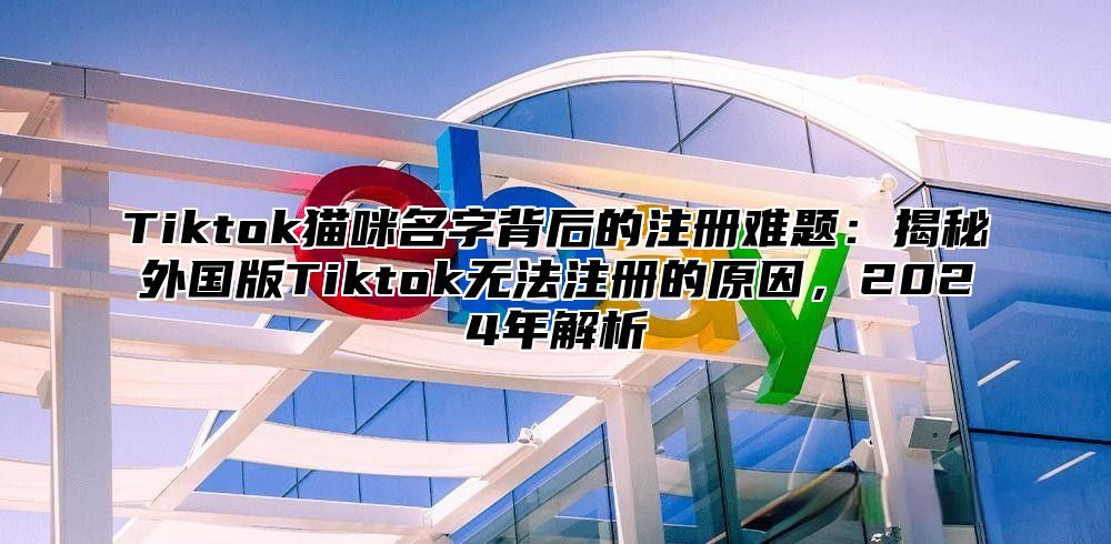 Tiktok猫咪名字背后的注册难题：揭秘外国版Tiktok无法注册的原因，2024年解析