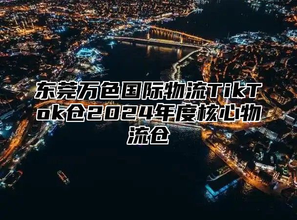 东莞万色国际物流TikTok仓2024年度核心物流仓