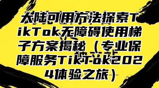 大陆可用方法探索TikTok无障碍使用梯子方案揭秘（专业保障服务TikTok2024体验之旅）