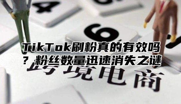 TikTok刷粉真的有效吗？粉丝数量迅速消失之谜