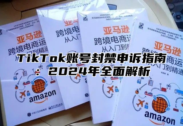 TikTok账号封禁申诉指南：2024年全面解析