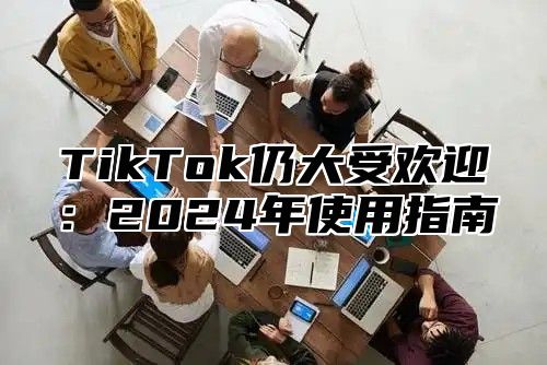 TikTok仍大受欢迎：2024年使用指南