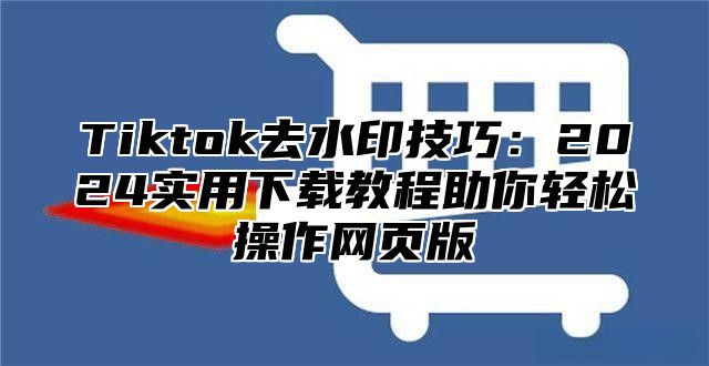 Tiktok去水印技巧：2024实用下载教程助你轻松操作网页版