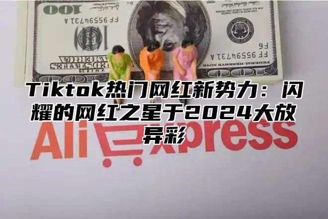 Tiktok热门网红新势力：闪耀的网红之星于2024大放异彩