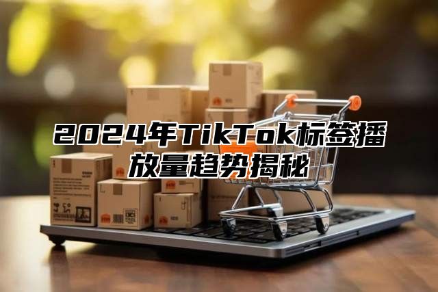 2024年TikTok标签播放量趋势揭秘