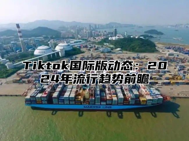 Tiktok国际版动态：2024年流行趋势前瞻