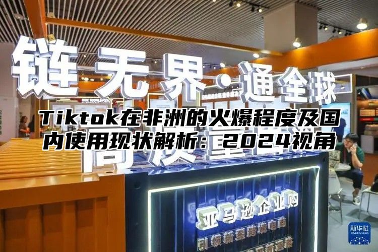 Tiktok在非洲的火爆程度及国内使用现状解析：2024视角