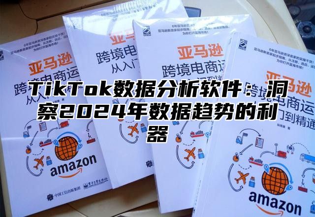 TikTok数据分析软件：洞察2024年数据趋势的利器