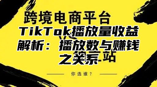 TikTok播放量收益解析：播放数与赚钱之关系