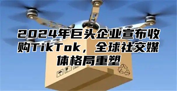 2024年巨头企业宣布收购TikTok，全球社交媒体格局重塑