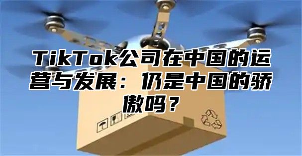 TikTok公司在中国的运营与发展：仍是中国的骄傲吗？