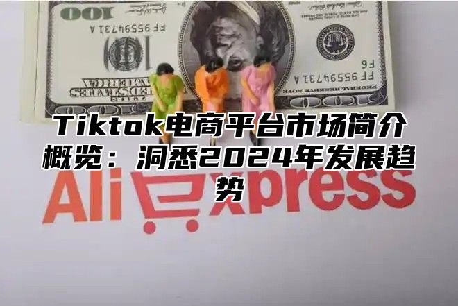 Tiktok电商平台市场简介概览：洞悉2024年发展趋势