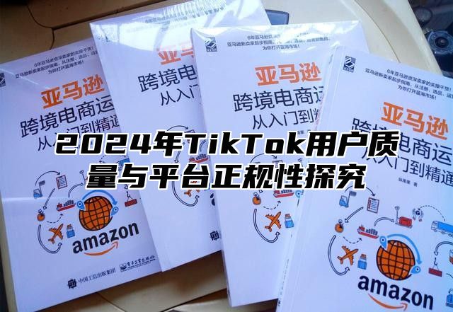 2024年TikTok用户质量与平台正规性探究