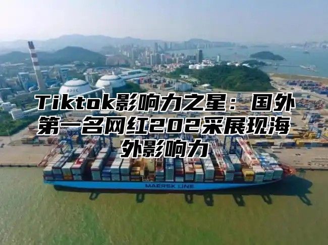 Tiktok影响力之星：国外第一名网红202采展现海外影响力