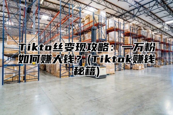 Tikto丝变现攻略：一万粉如何赚大钱？(Tiktok赚钱秘籍)