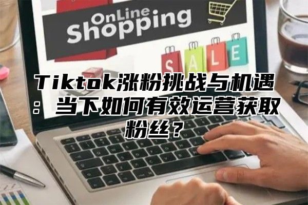 Tiktok涨粉挑战与机遇：当下如何有效运营获取粉丝？