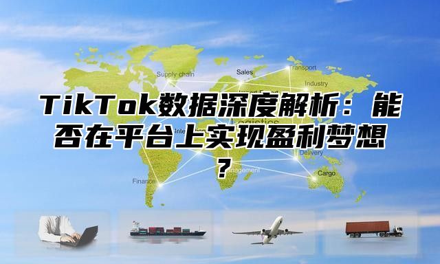 TikTok数据深度解析：能否在平台上实现盈利梦想？