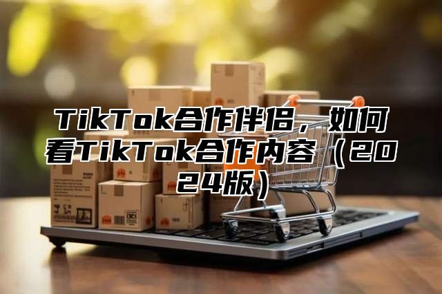 TikTok合作伴侣，如何看TikTok合作内容（2024版）