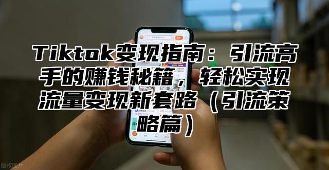 Tiktok变现指南：引流高手的赚钱秘籍，轻松实现流量变现新套路（引流策略篇）