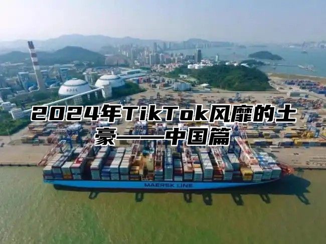 2024年TikTok风靡的土豪——中国篇