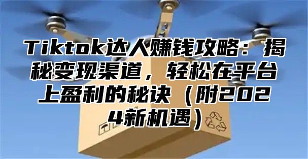 Tiktok达人赚钱攻略：揭秘变现渠道，轻松在平台上盈利的秘诀（附2024新机遇）