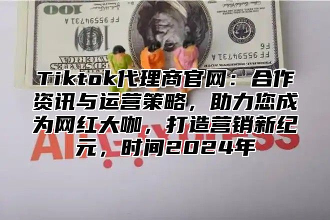 Tiktok代理商官网：合作资讯与运营策略，助力您成为网红大咖，打造营销新纪元，时间2024年