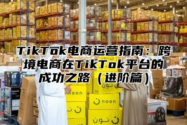 TikTok电商运营指南：跨境电商在TikTok平台的成功之路（进阶篇）