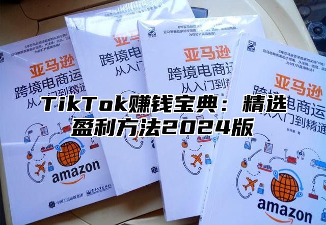 TikTok赚钱宝典：精选盈利方法2024版