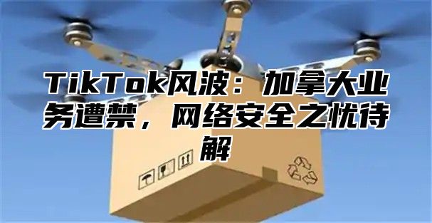 TikTok风波：加拿大业务遭禁，网络安全之忧待解