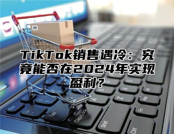 TikTok销售遇冷：究竟能否在2024年实现盈利？