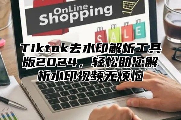 Tiktok去水印解析工具版2024，轻松助您解析水印视频无烦恼