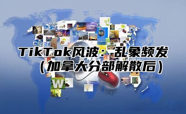 TikTok风波：乱象频发（加拿大分部解散后）