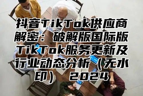 抖音TikTok供应商解密：破解版国际版TikTok服务更新及行业动态分析（无水印） 2024