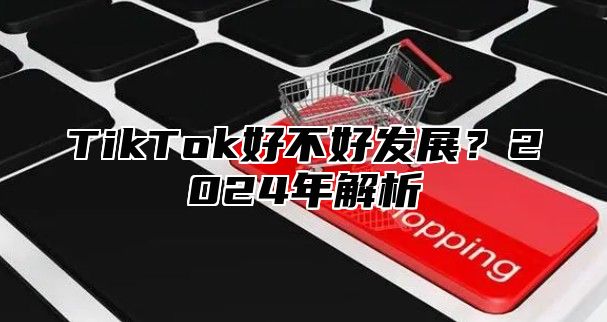 TikTok好不好发展？2024年解析