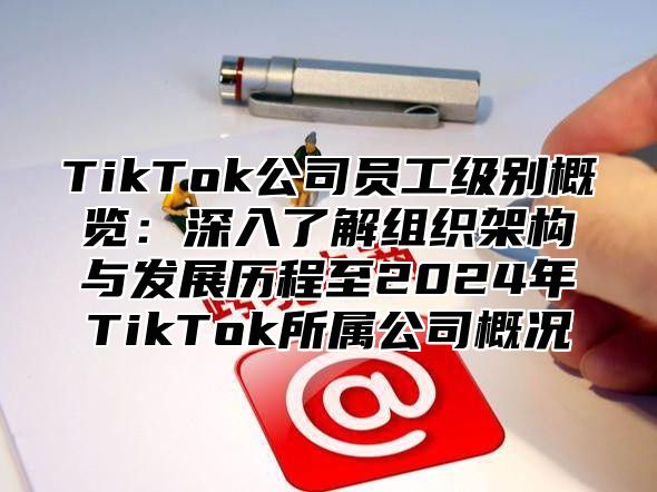 TikTok公司员工级别概览：深入了解组织架构与发展历程至2024年TikTok所属公司概况