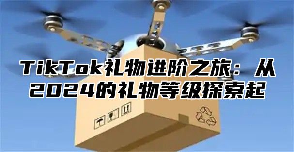 TikTok礼物进阶之旅：从2024的礼物等级探索起