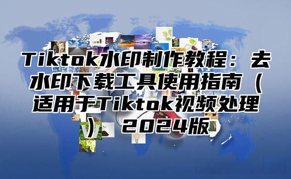 Tiktok水印制作教程：去水印下载工具使用指南（适用于Tiktok视频处理） 2024版