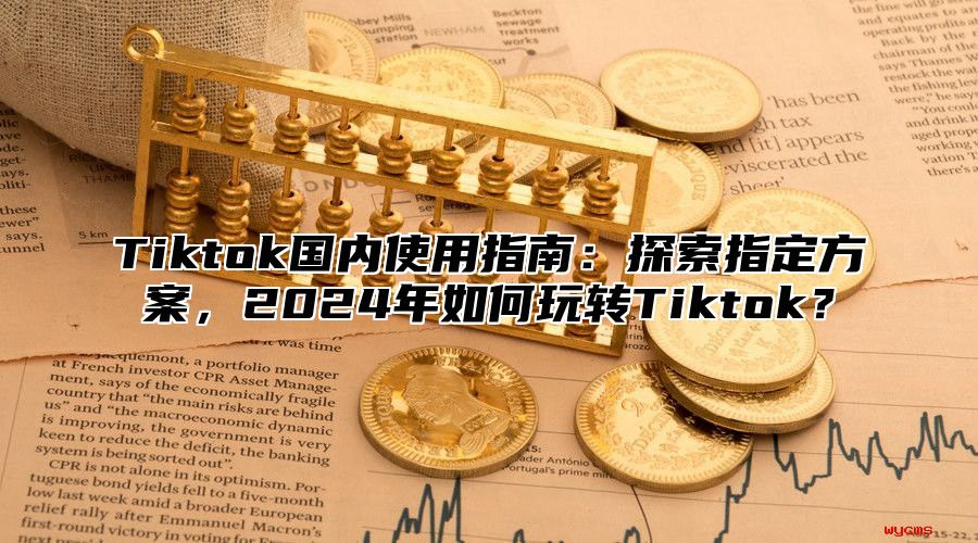 Tiktok国内使用指南：探索指定方案，2024年如何玩转Tiktok？