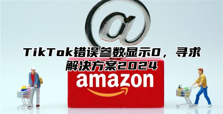 TikTok错误参数显示0，寻求解决方案2024