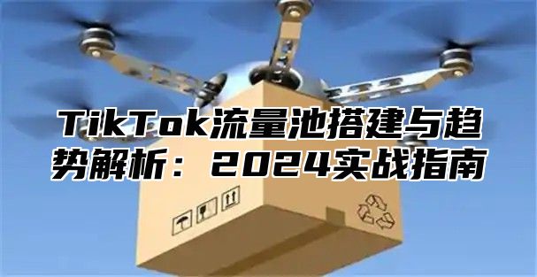 TikTok流量池搭建与趋势解析：2024实战指南