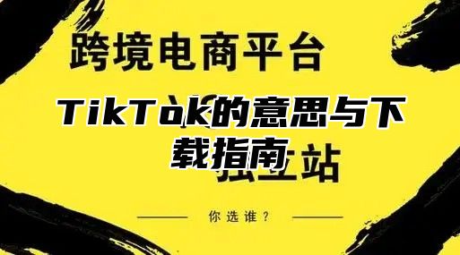 TikTok的意思与下载指南