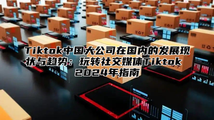 Tiktok中国大公司在国内的发展现状与趋势：玩转社交媒体Tiktok 2024年指南