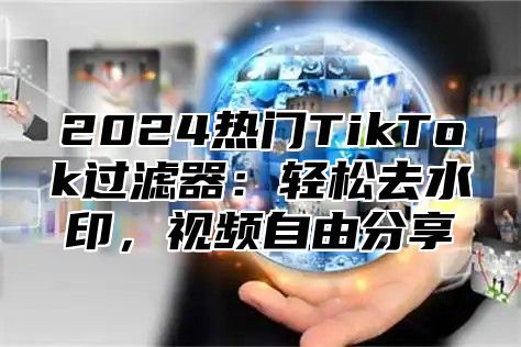 2024热门TikTok过滤器：轻松去水印，视频自由分享