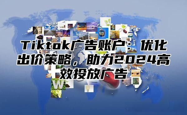 Tiktok广告账户：优化出价策略，助力2024高效投放广告